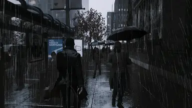 Downpour 3