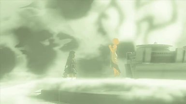 Link  and  Zelda