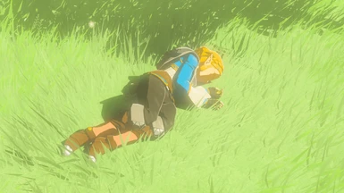 Zelda  Sleep