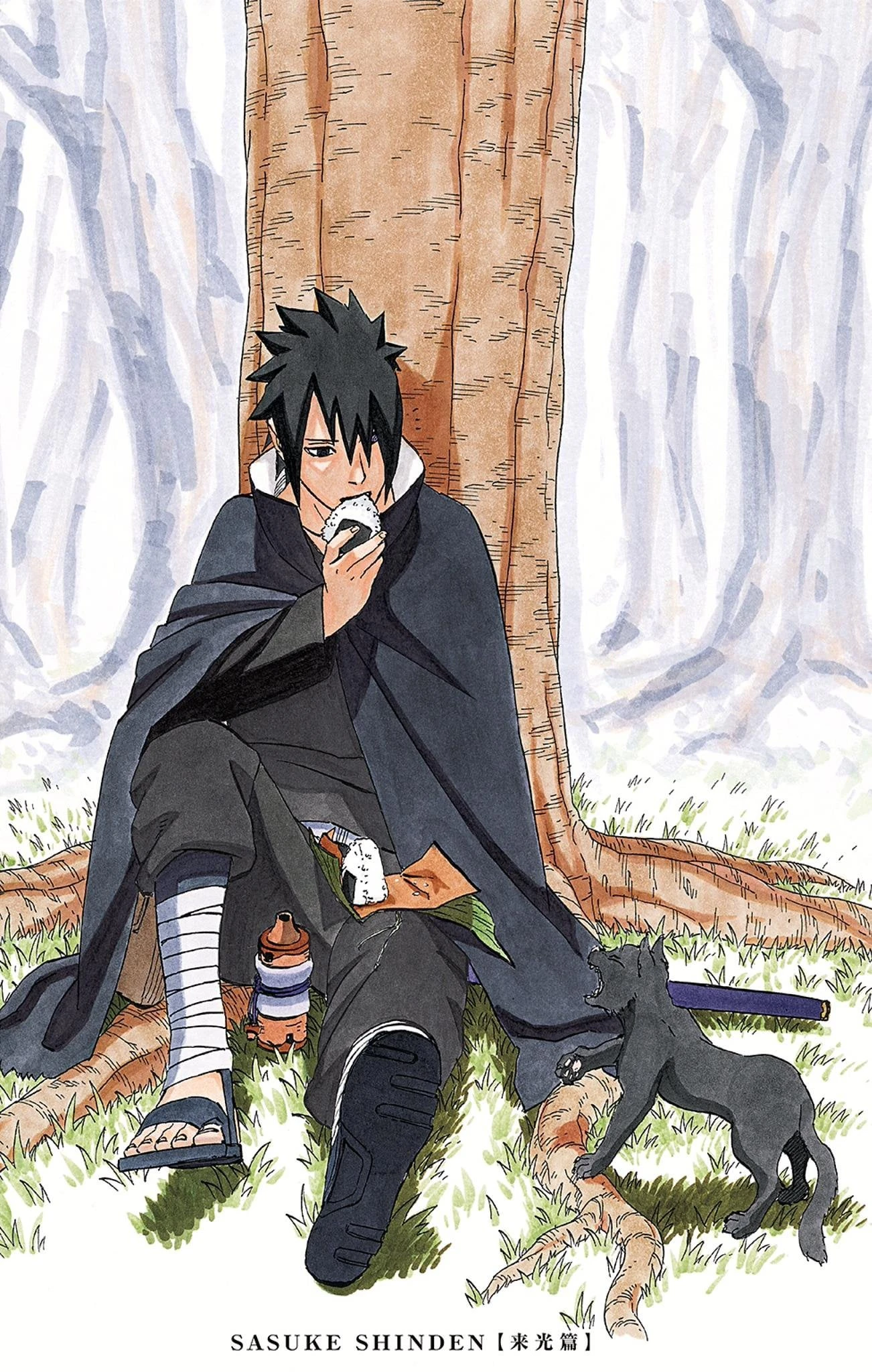 Naruto Shinden: Dia de Pais e Filhos, Wiki Naruto