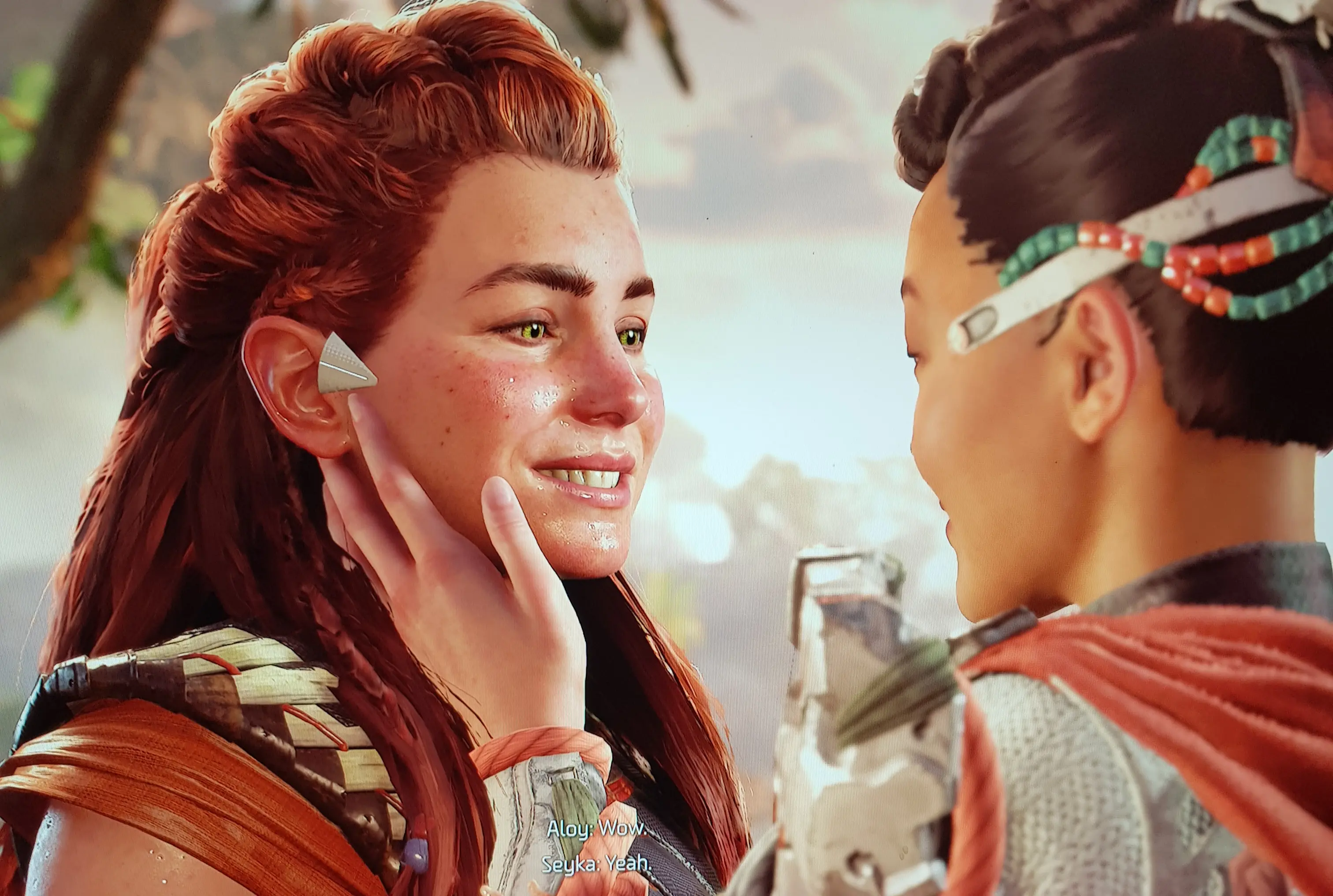 Aloy and Seyka at Horizon Forbidden West Nexus - Mods and community