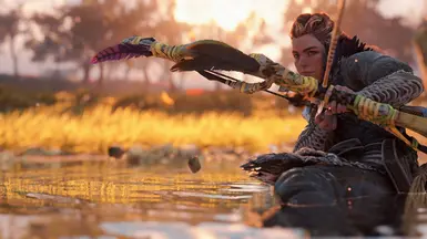 Aloy
