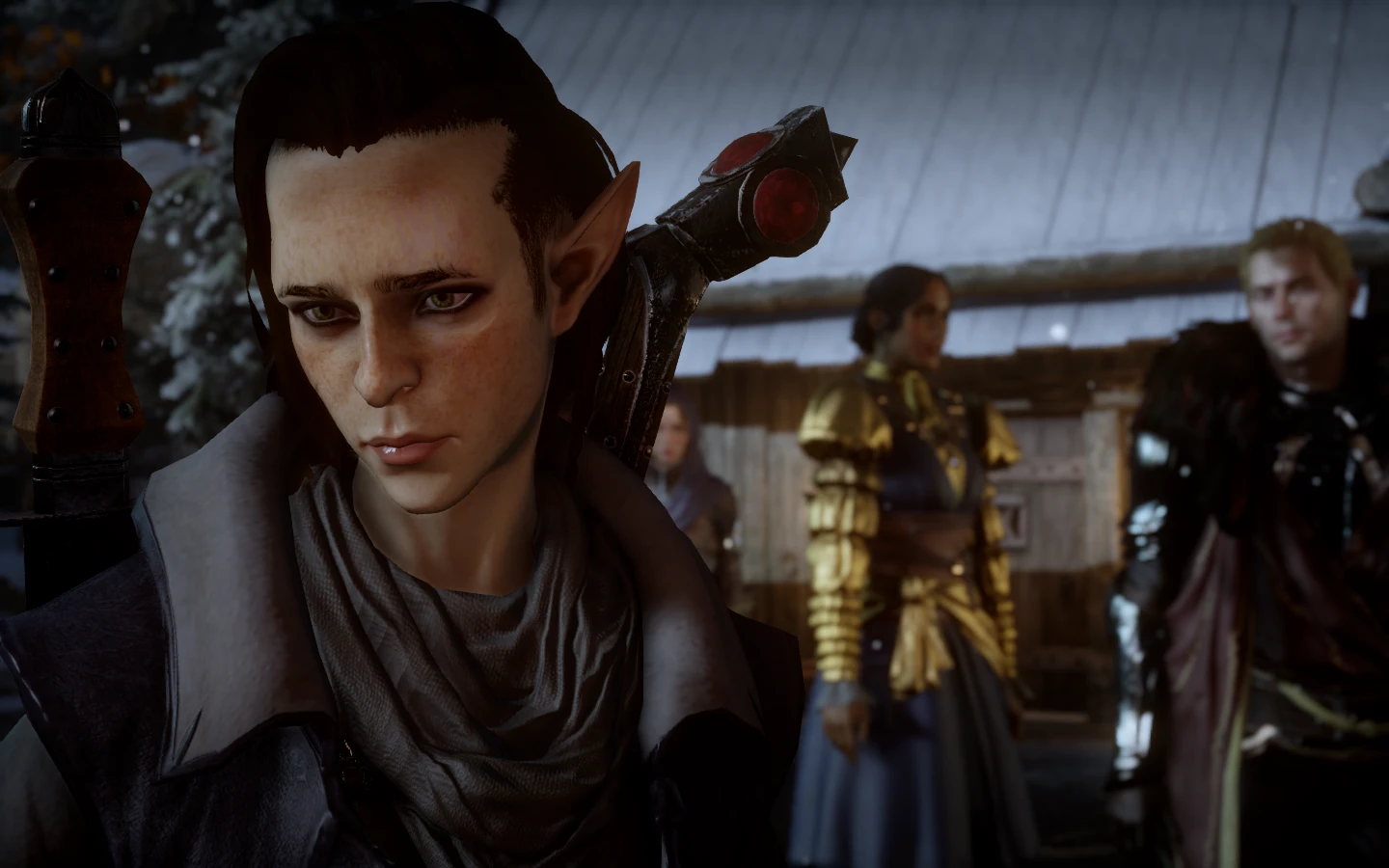 My Elf at Dragon Age: Inquisition Nexus - Mods and community