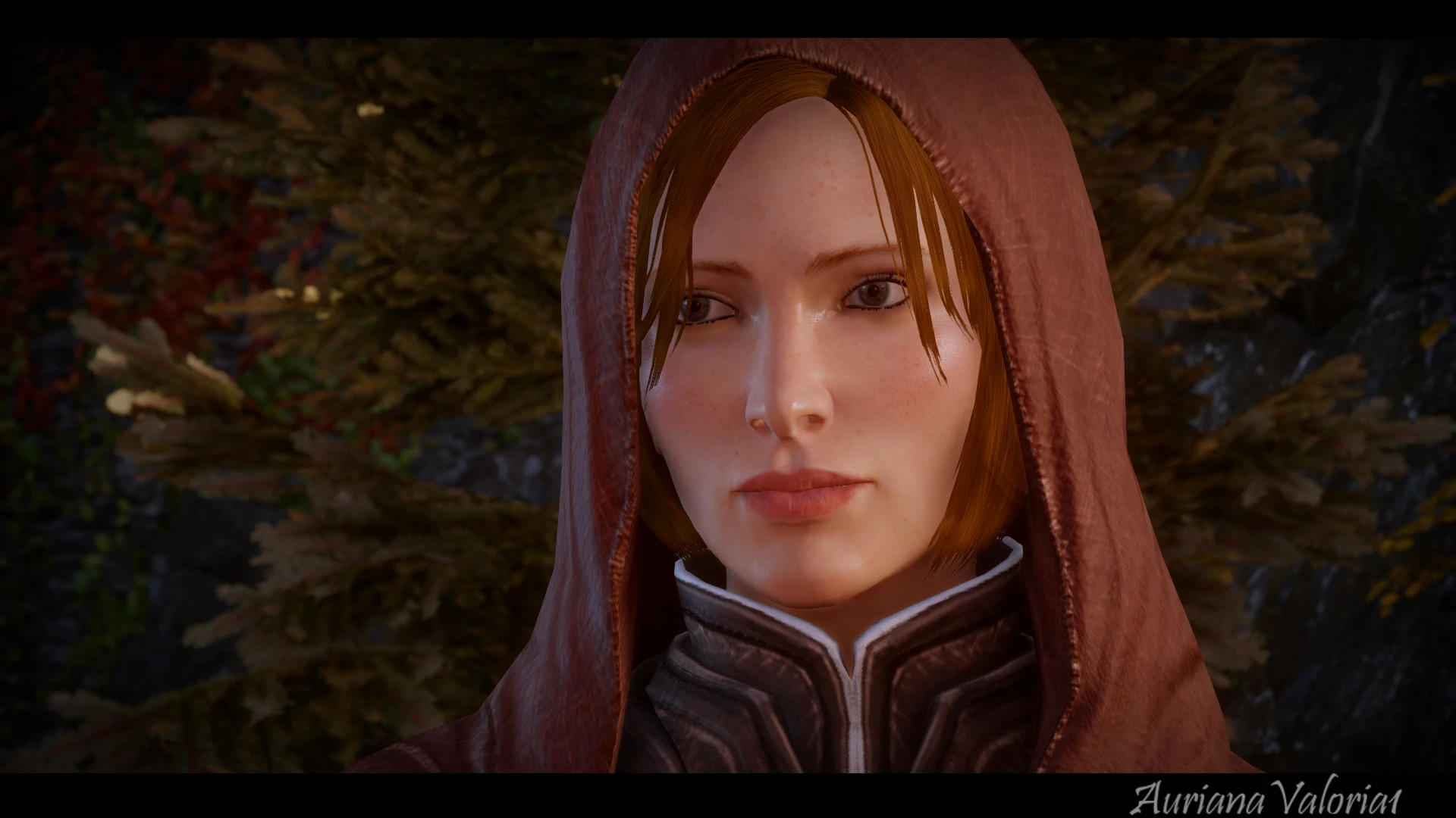 Leliana At Dragon Age Inquisition Nexus Mods And Community   2589176 1451400503 