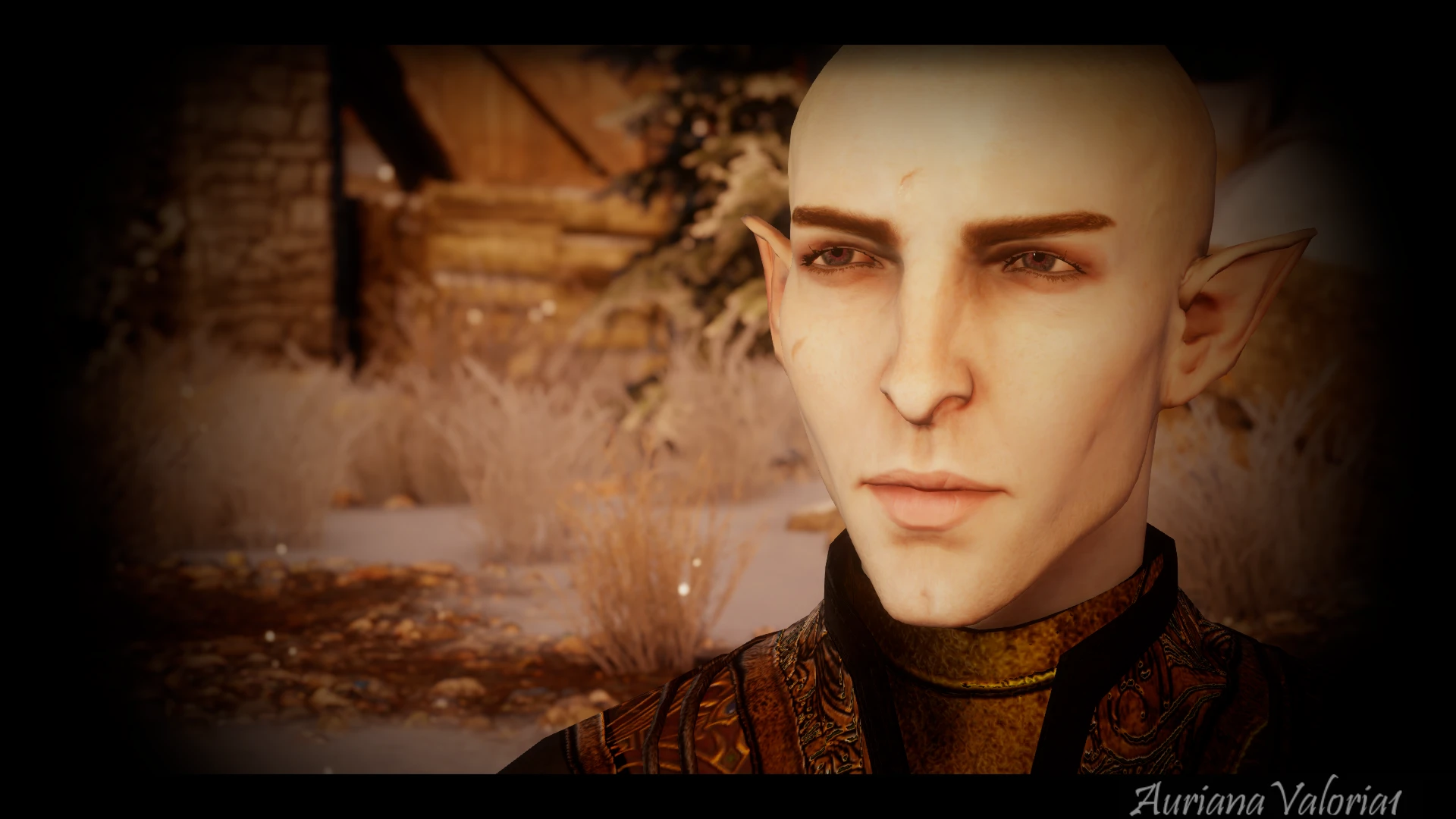 Solas Dragon age long hair