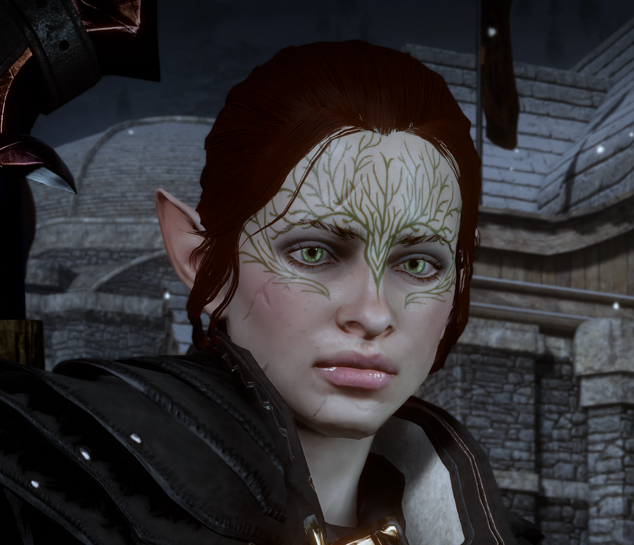 Raelyn Lavellan at Dragon Age: Inquisition Nexus - Mods and community