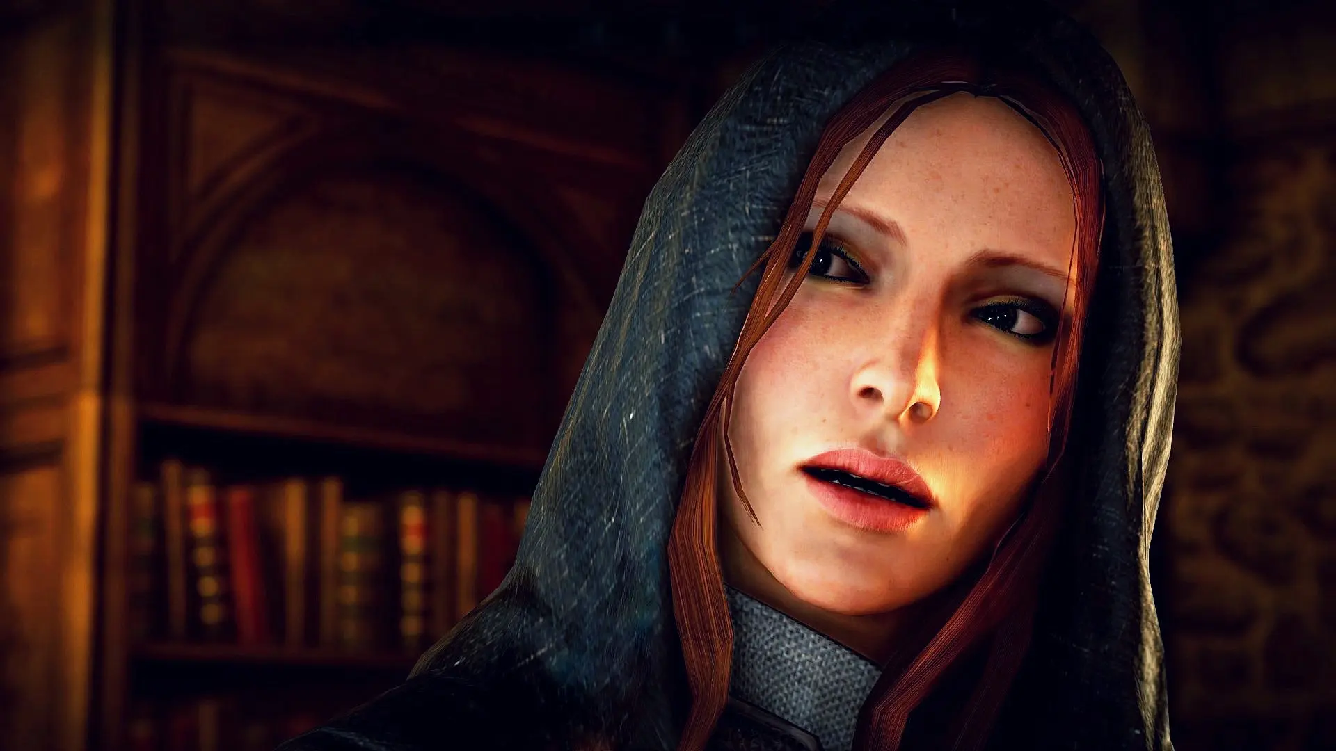 Leliana at Dragon Age: Inquisition Nexus - Mods and community