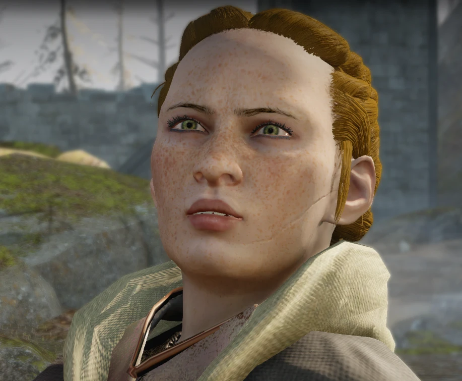 Scouting for Girls at Dragon Age: Inquisition Nexus - Mods and community