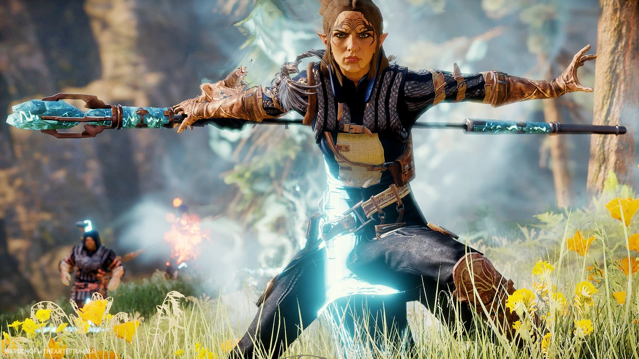 dragon age inquisition loading screen Character creator