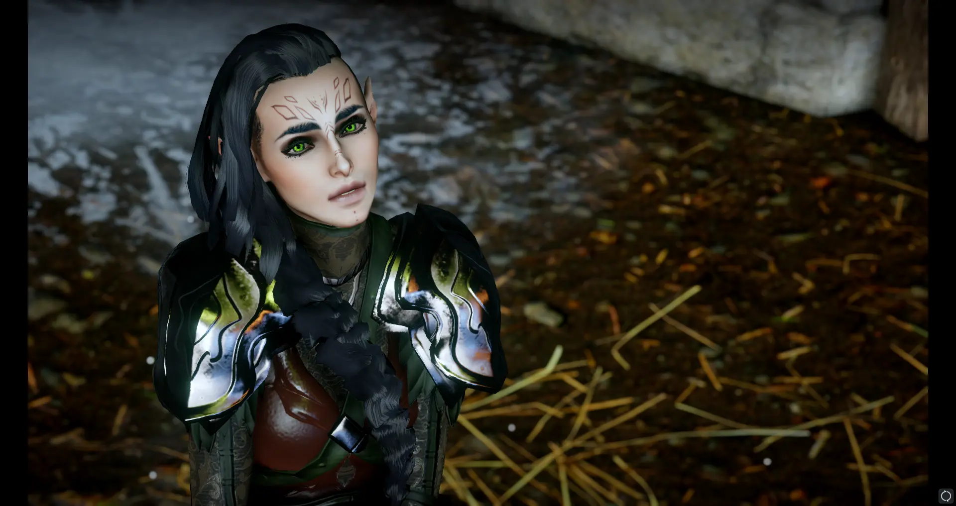 New Mage at Dragon Age: Inquisition Nexus - Mods and community