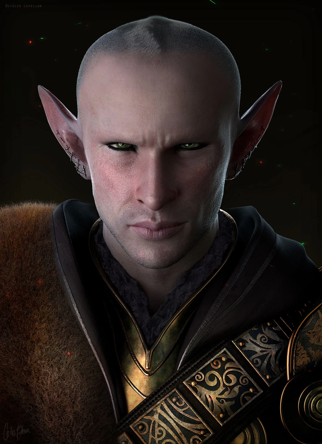 Inquisitor Nethlek Lavellan at Dragon Age: Inquisition Nexus - Mods and ...