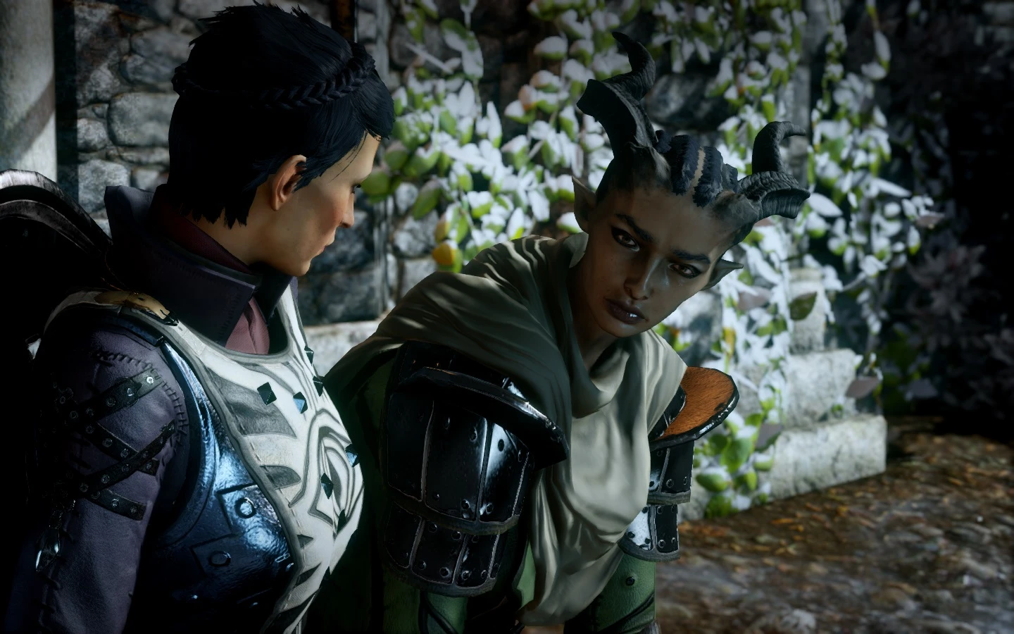 Dragon age inquisition цена стим фото 87