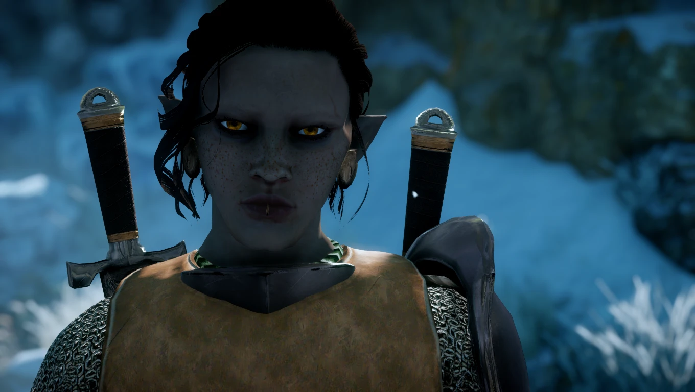 Adaar at Dragon Age: Inquisition Nexus - Mods and community