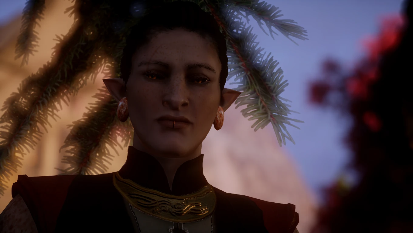 Adaar at Dragon Age: Inquisition Nexus - Mods and community