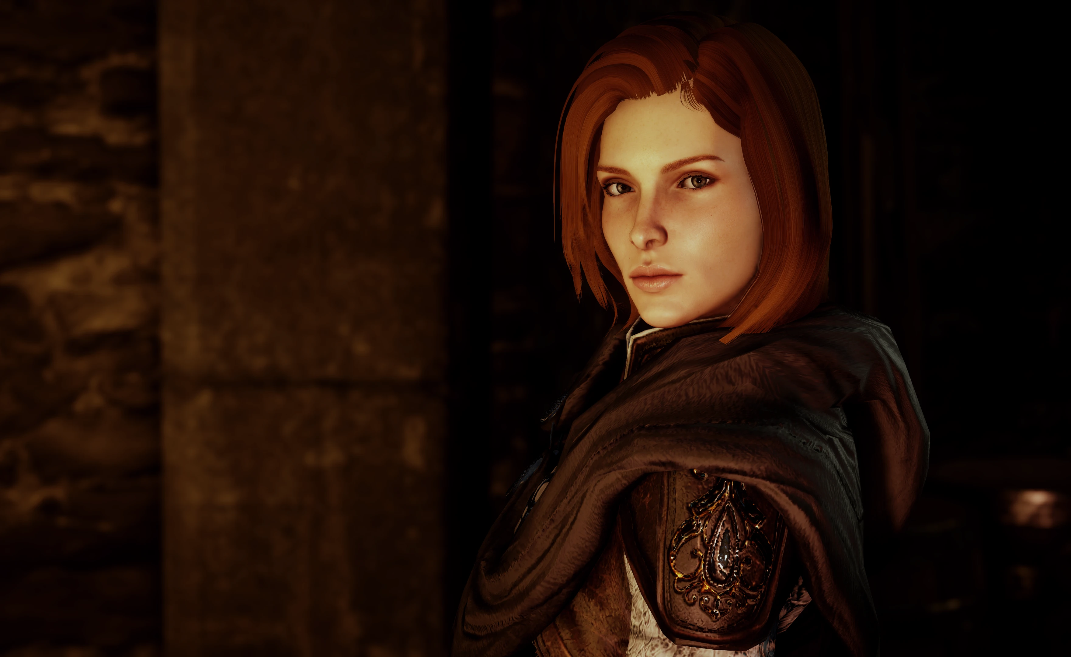 Leliana at Dragon Age: Inquisition Nexus - Mods and communit