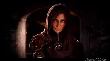 Leliana at Dragon Age: Inquisition Nexus - Mods and community