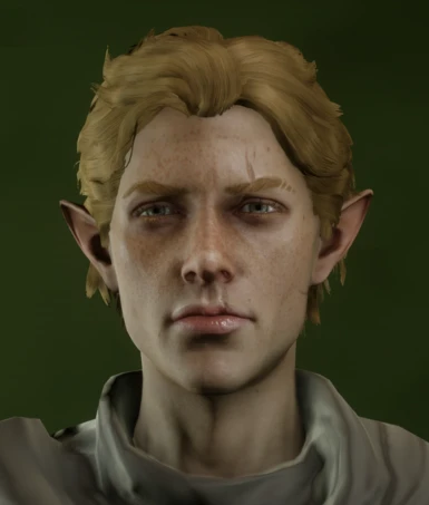 Male Lavellan I spent TOO MUCH time on
