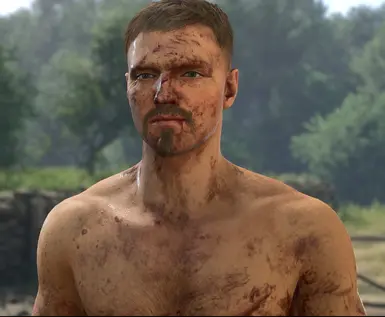 The Brawler