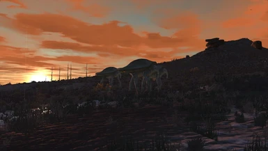 Sunset Herd