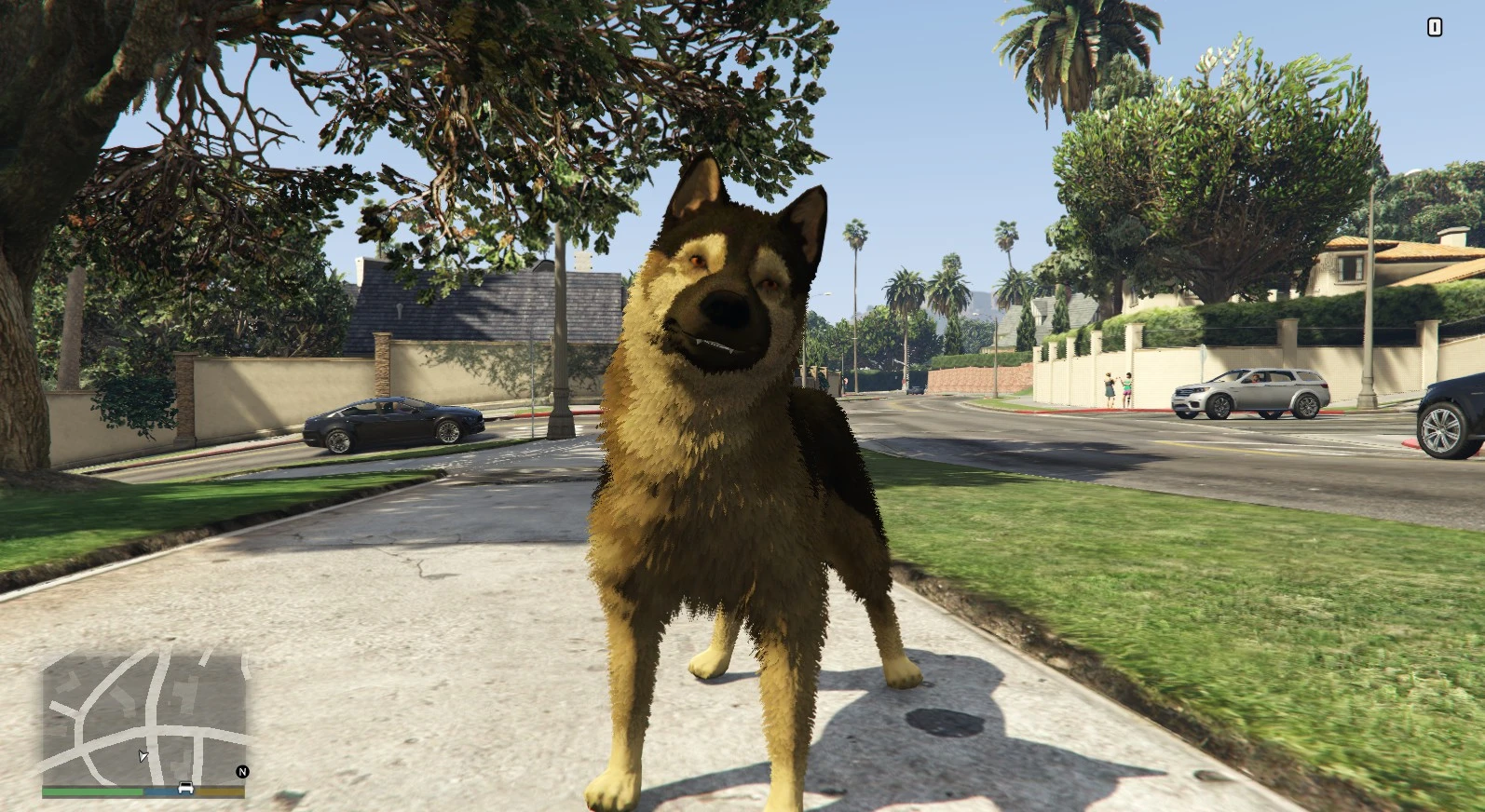 What pets can you have in gta 5 фото 93