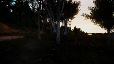 GTA V Evening With Realistic Preset