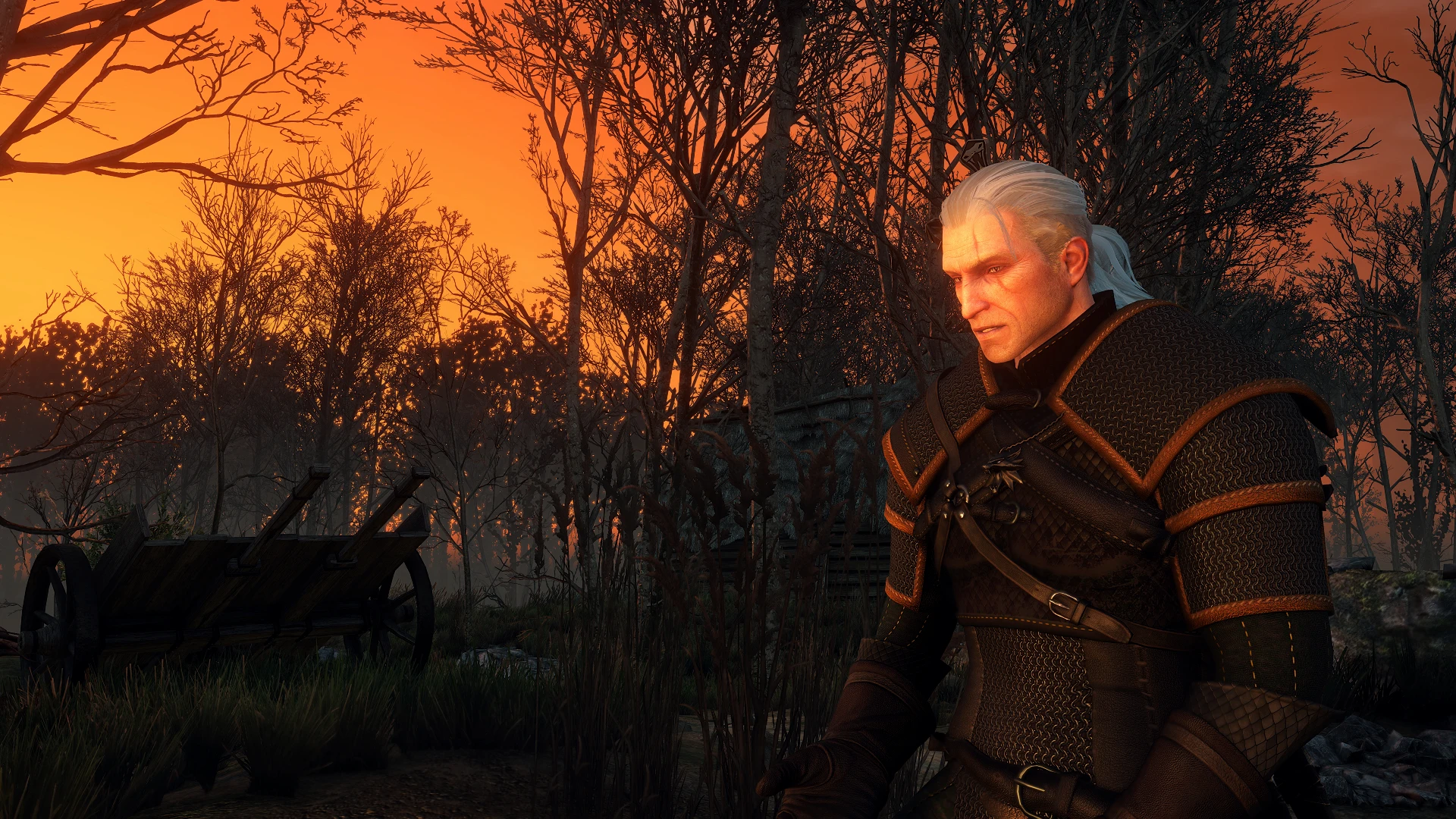 The witcher 3 witcher school gear фото 109