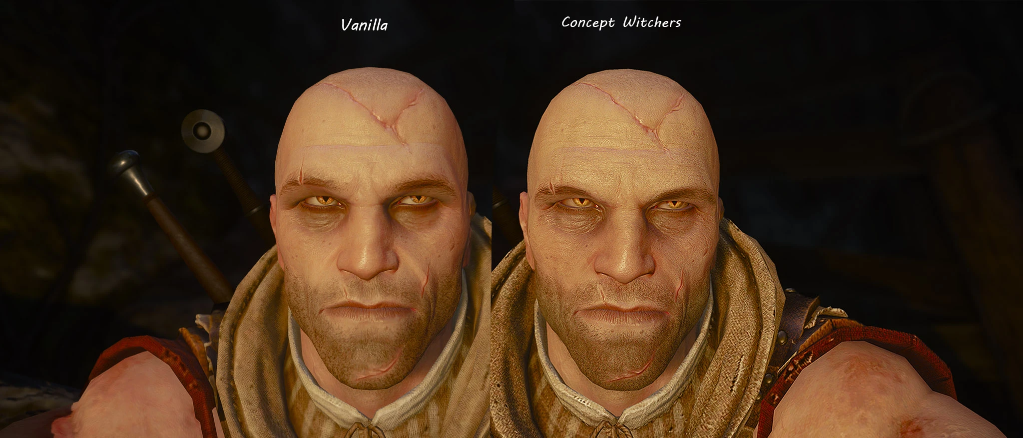 Letho at The Witcher 3 Nexus Mods and community
