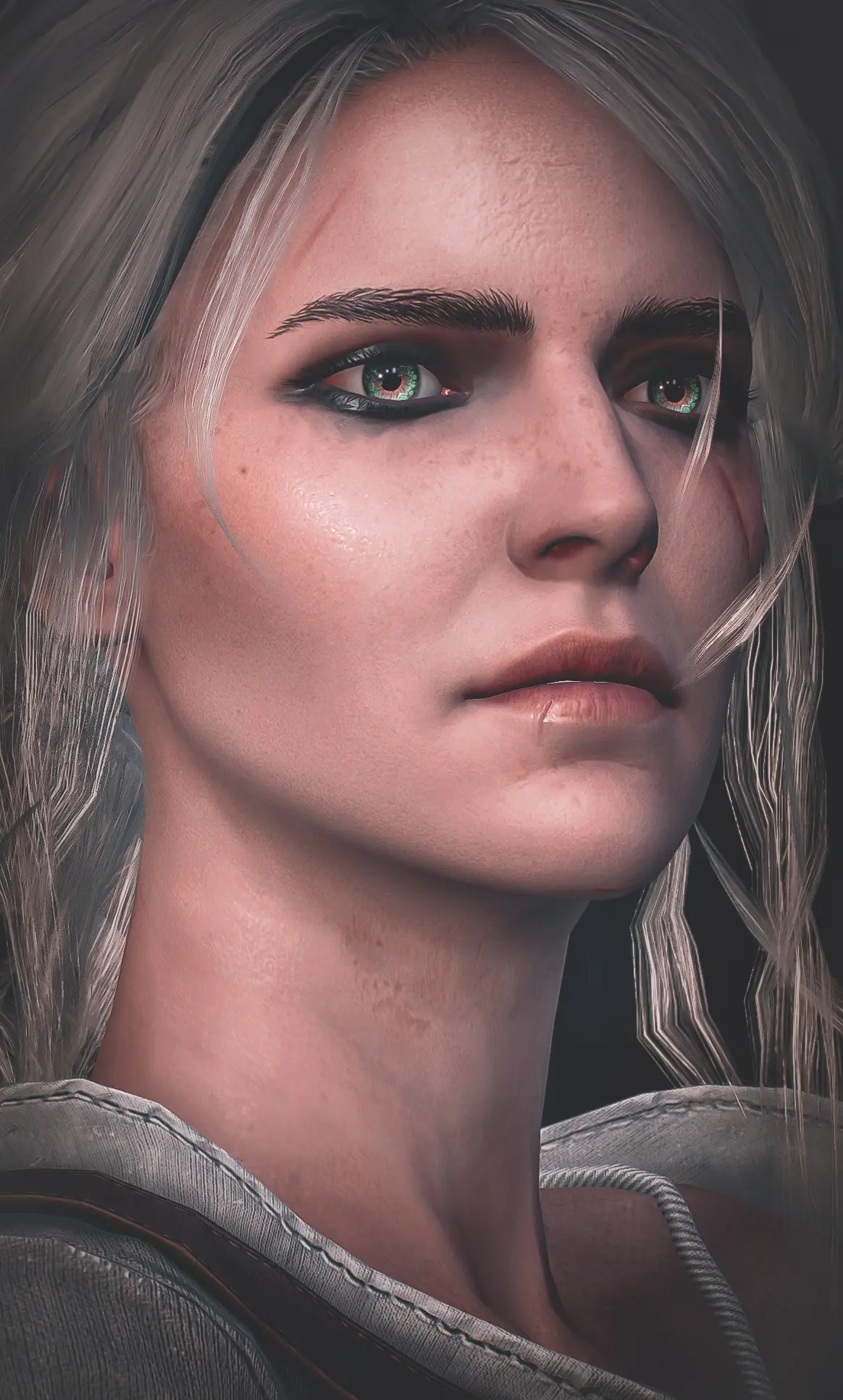 Ciri At The Witcher 3 Nexus Mods And Community