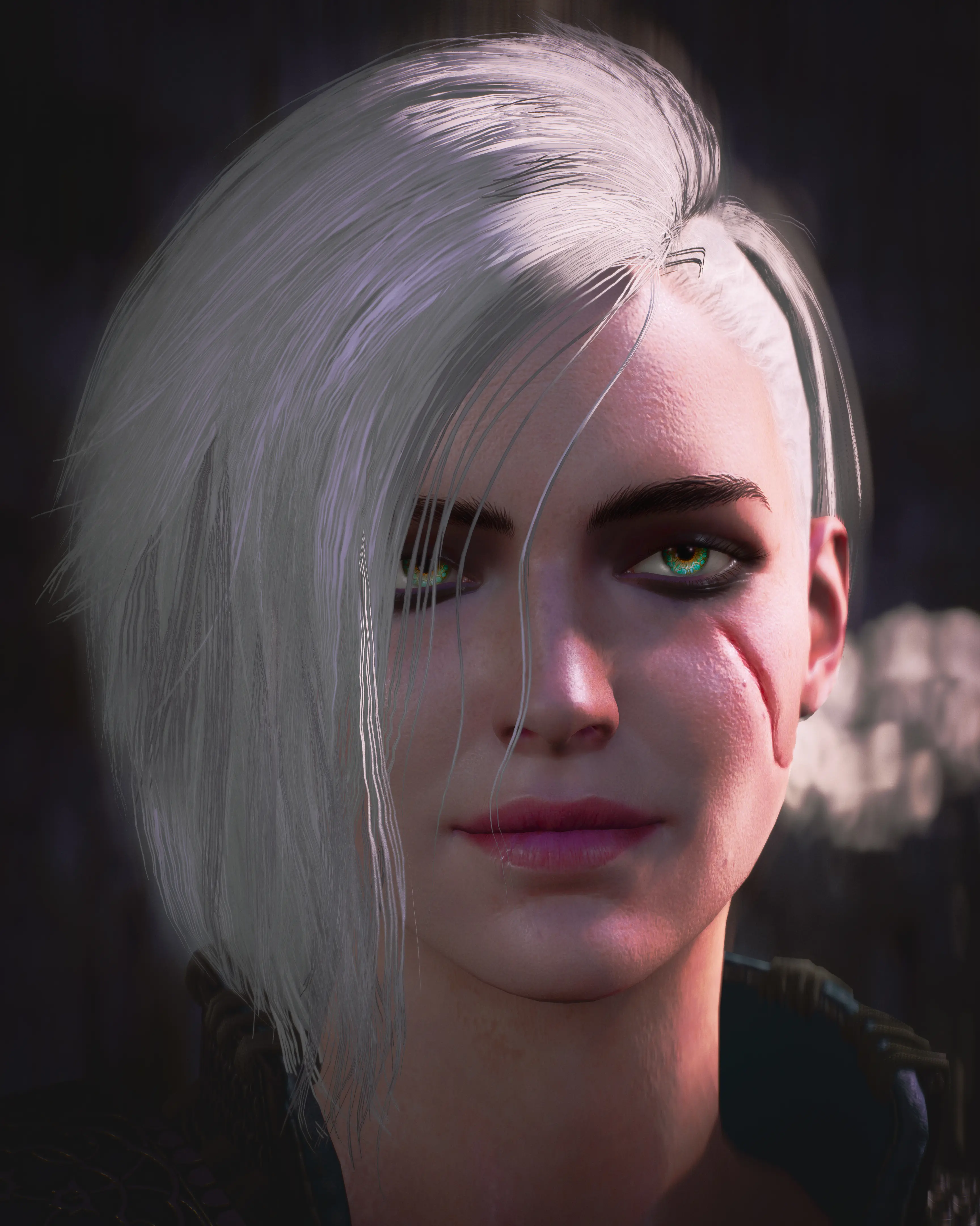 Ciri at The Witcher 3 Nexus - Mods and community