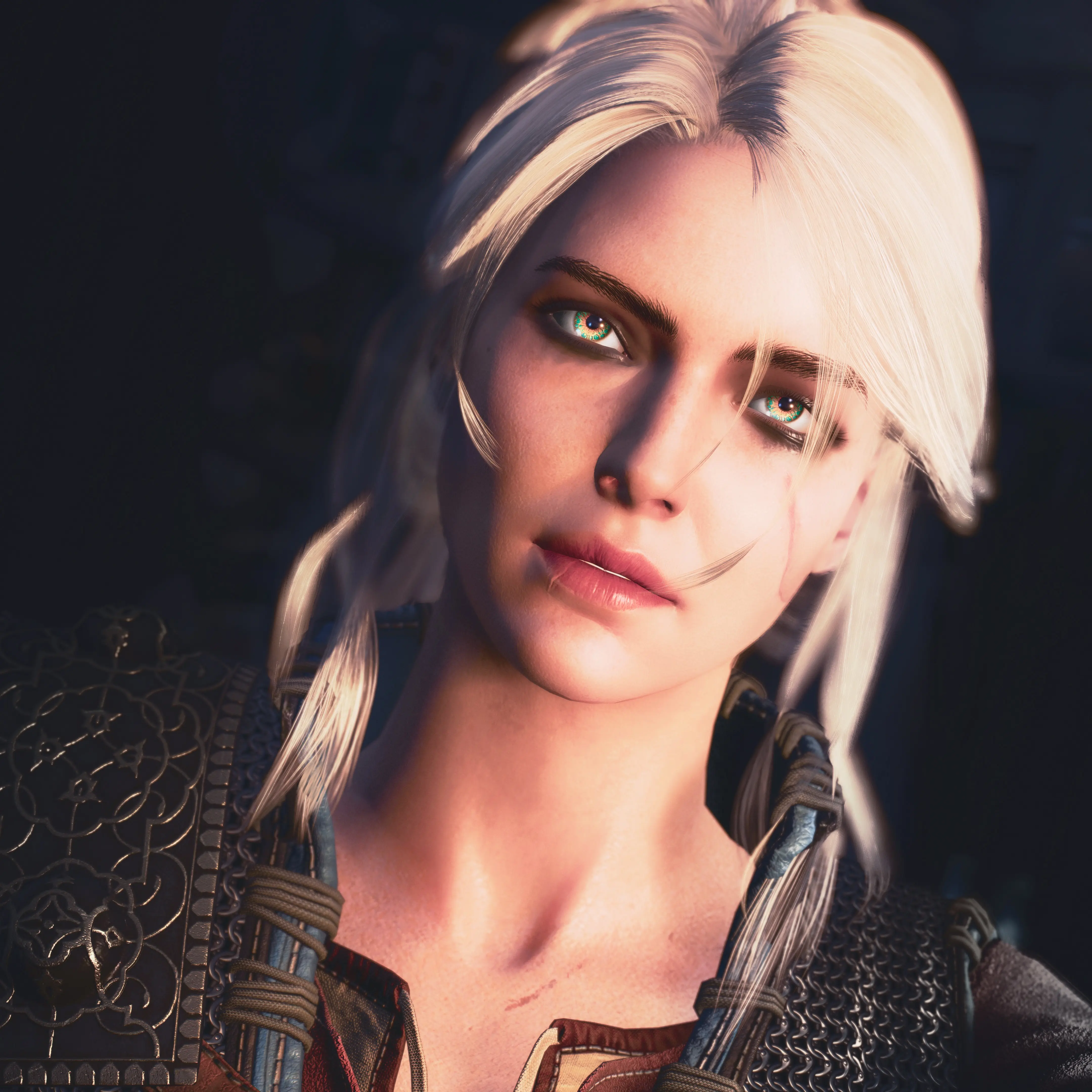 Ciri at The Witcher 3 Nexus - Mods and community