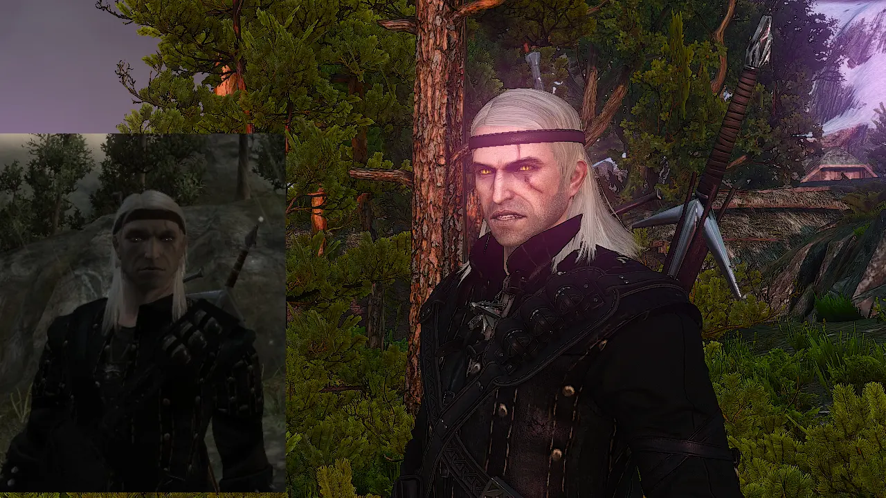 The Witcher: Rise of the White Wolf, Witcher Wiki