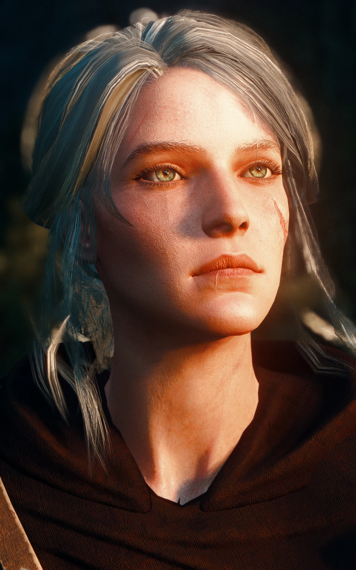 dawn at The Witcher 3 Nexus - Mods and community