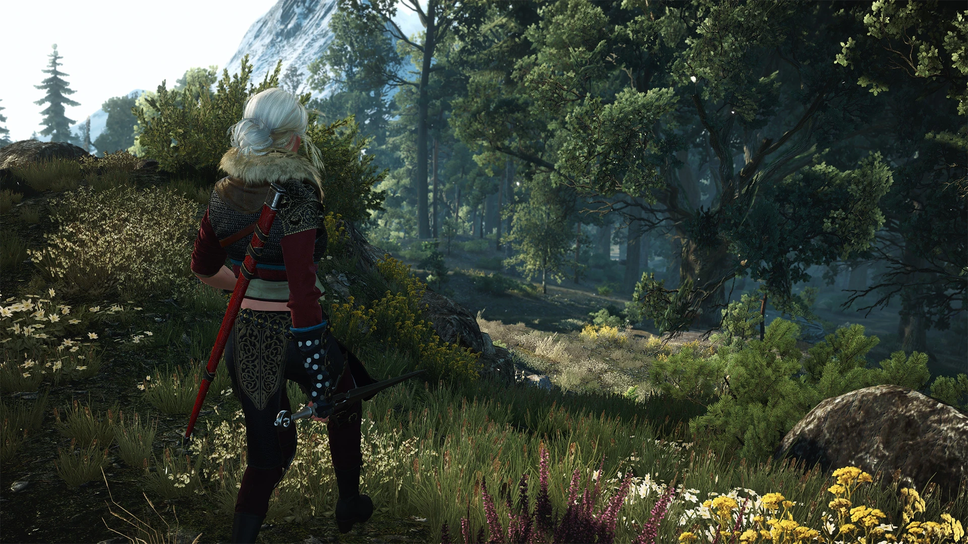 Ciri's Walk at The Witcher 3 Nexus - Mods and community