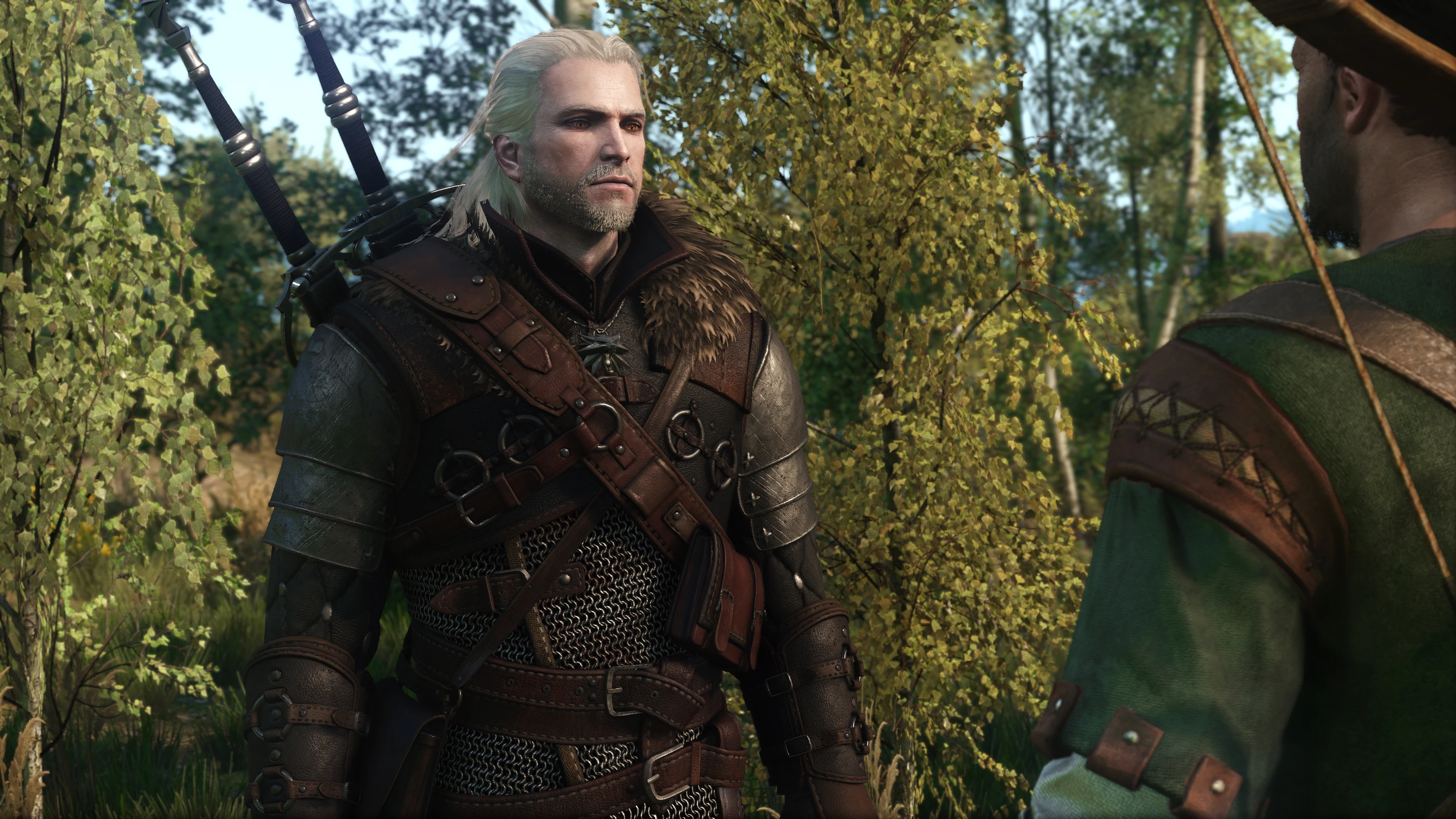 Pale Skin and Eyebrows test at The Witcher 3 Nexus - Mods and community