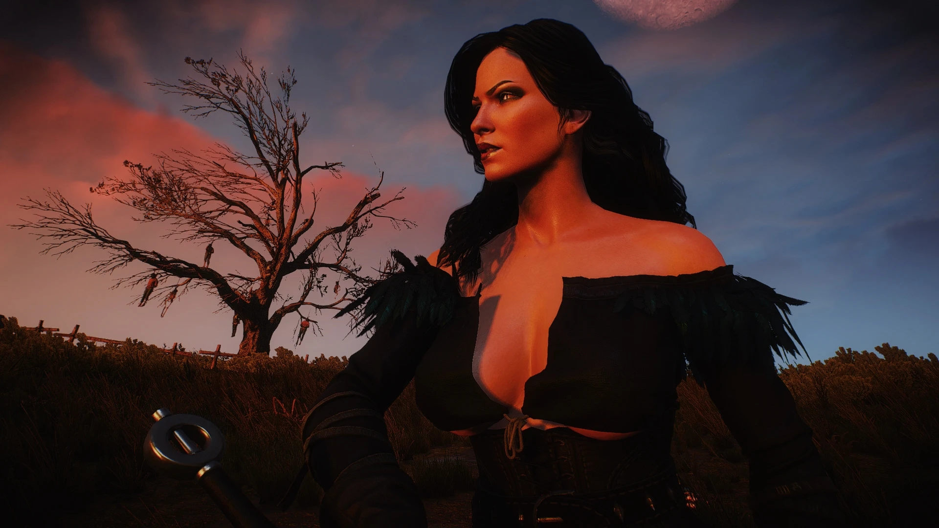 the witcher 3 mods