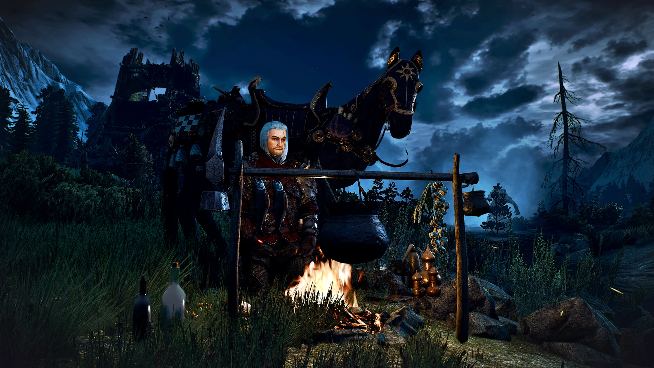 The witcher 3 ард скеллиге фото 64