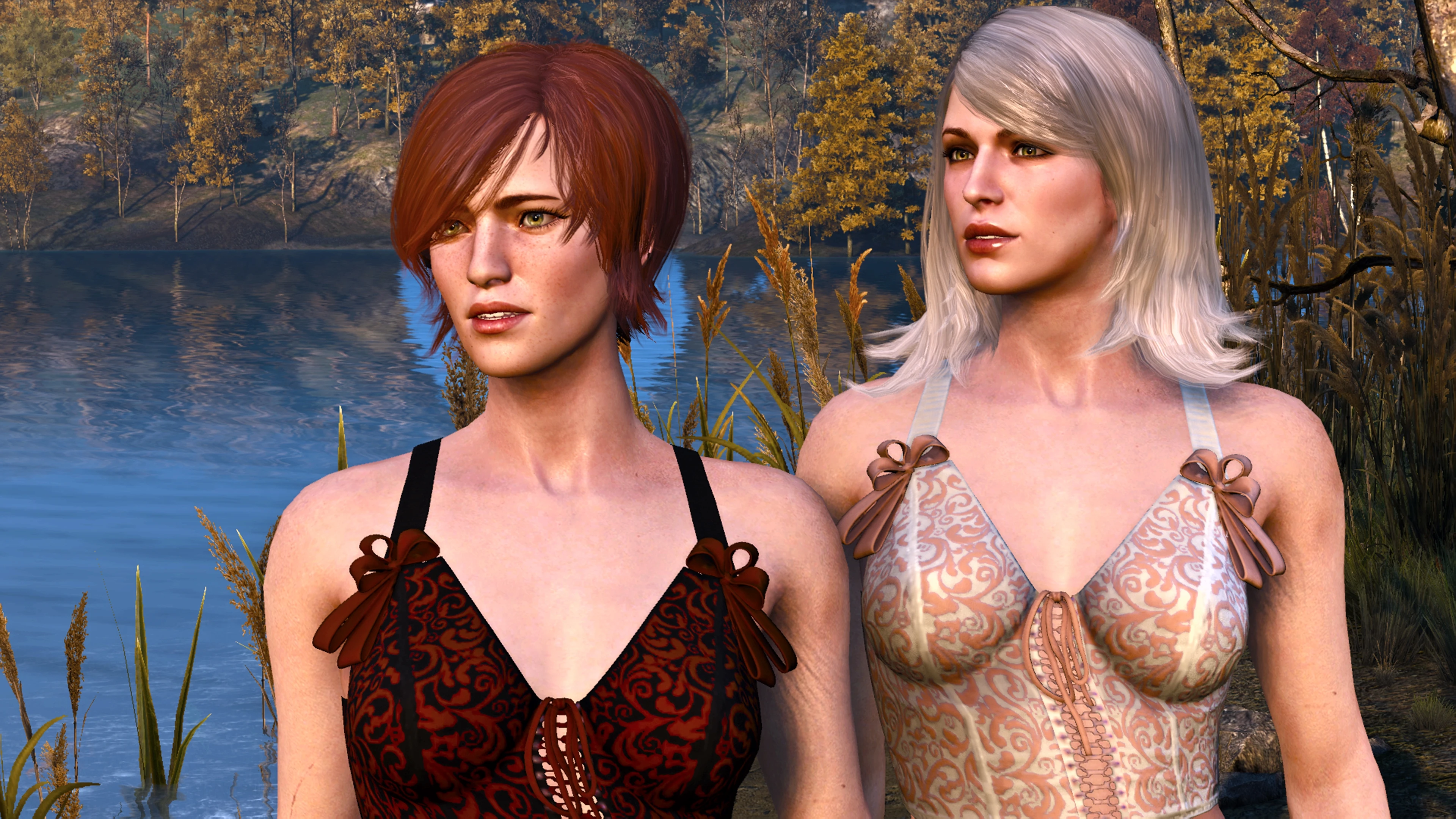 the witcher 3 adult mods