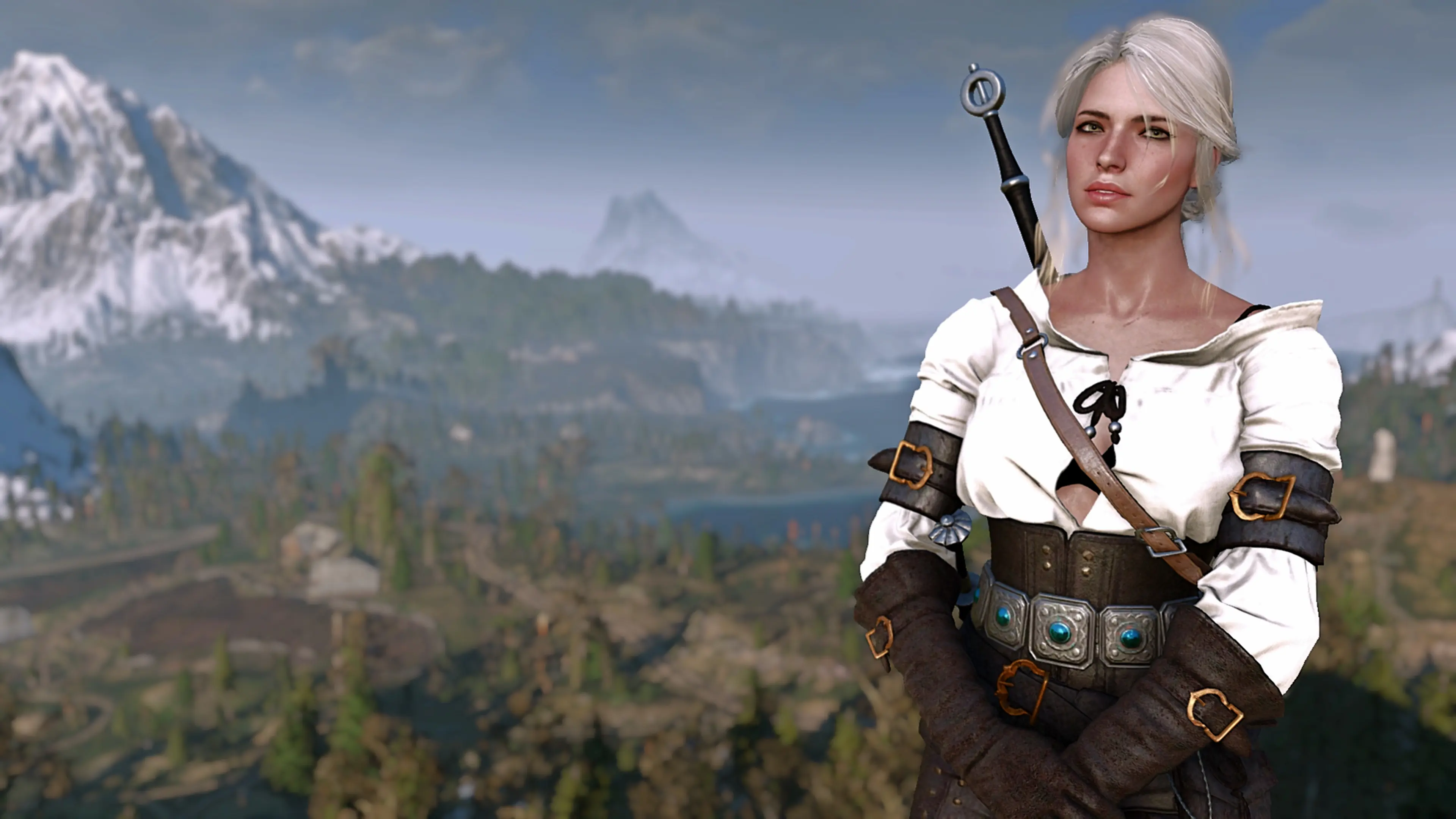 The witcher 3 4k mods фото 17