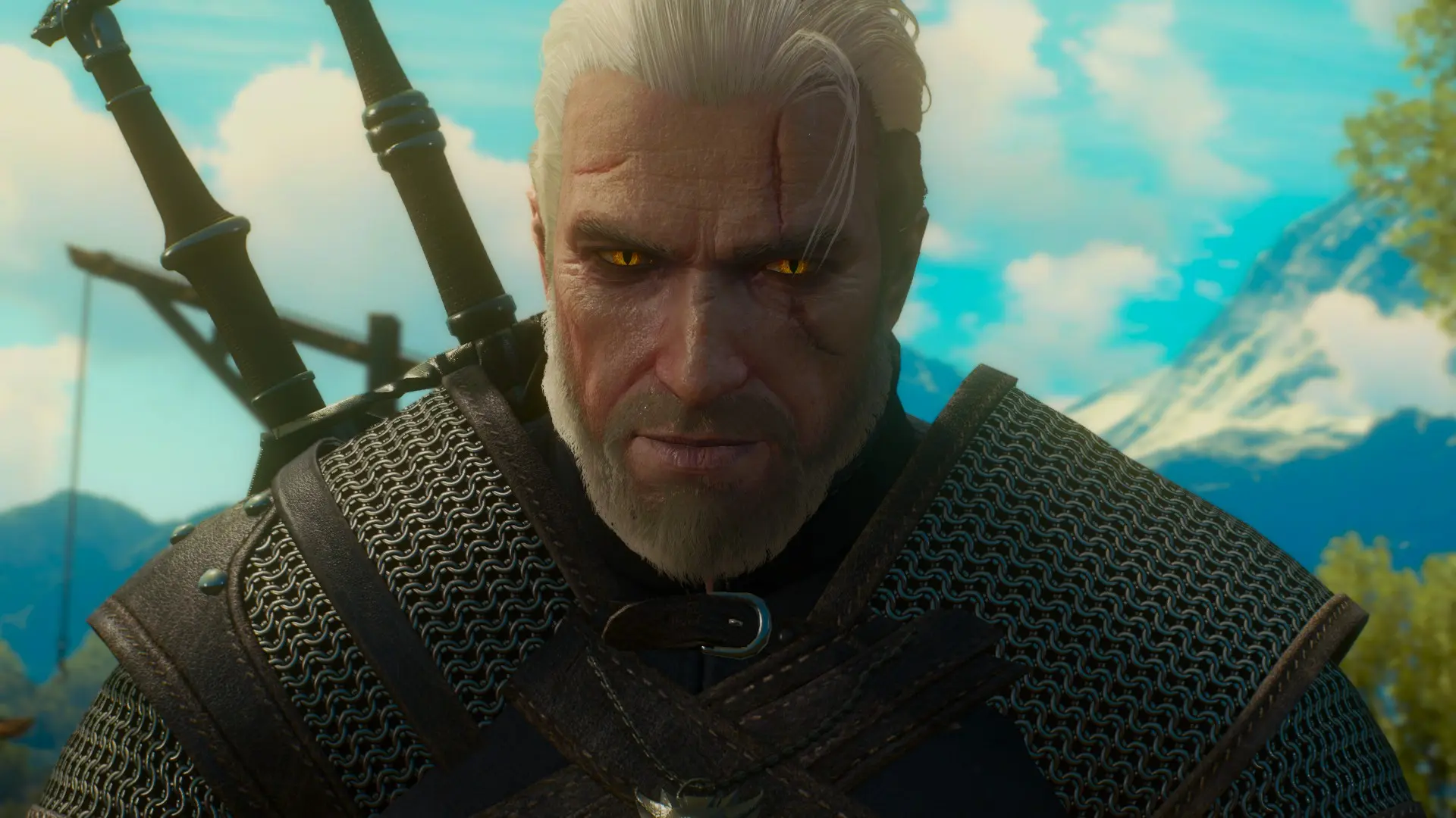 Seasoned Witcher Seasoned Witcher