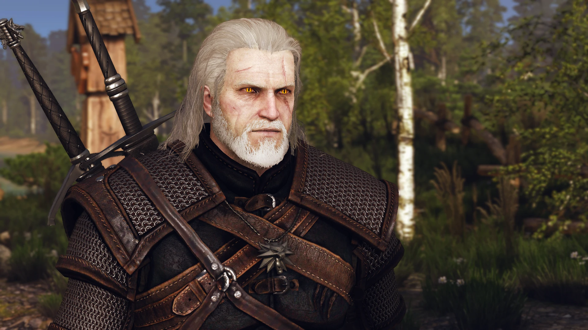 Monsters in the witcher 3 фото 47