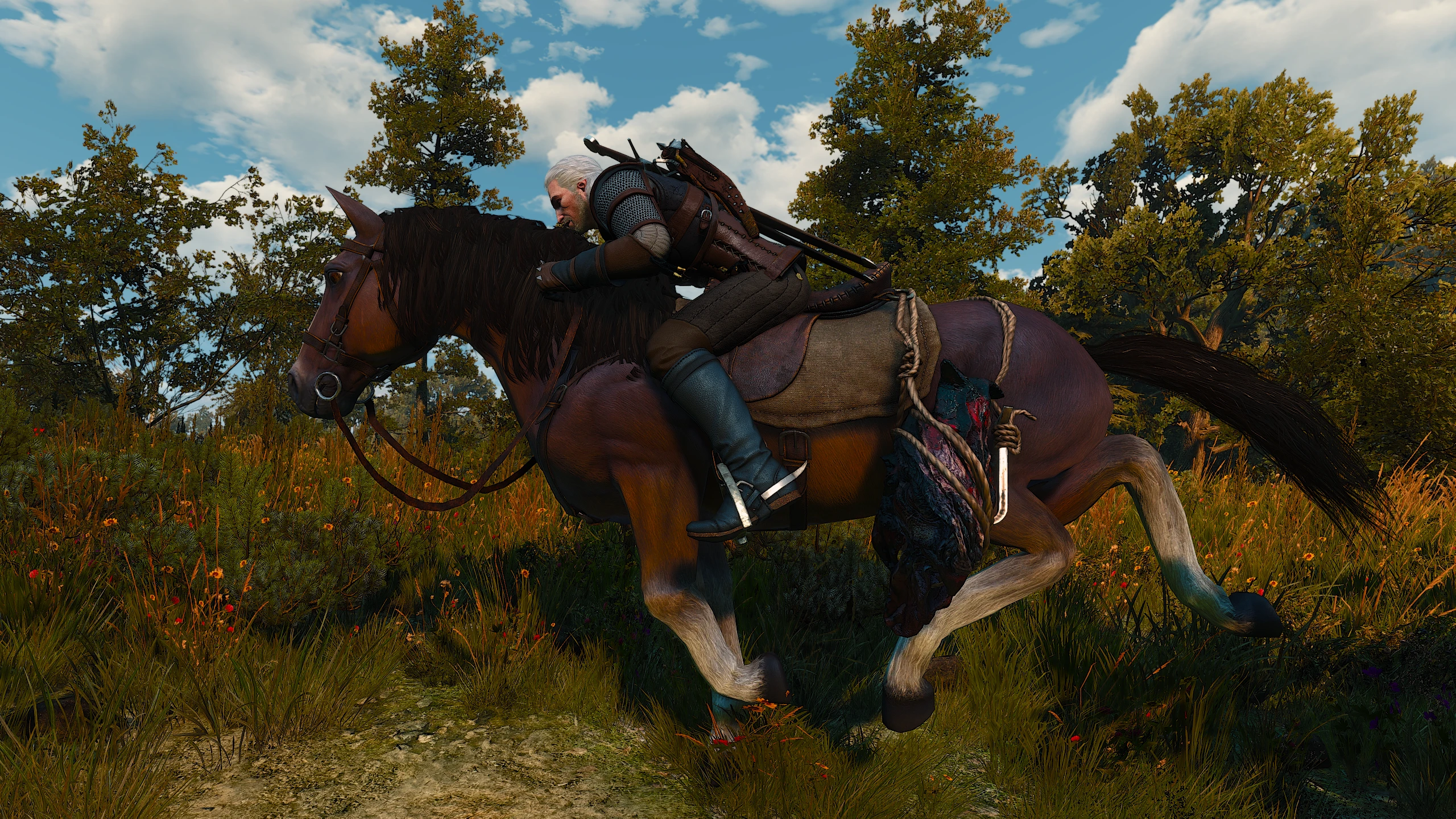 Best the witcher 3 mods фото 94