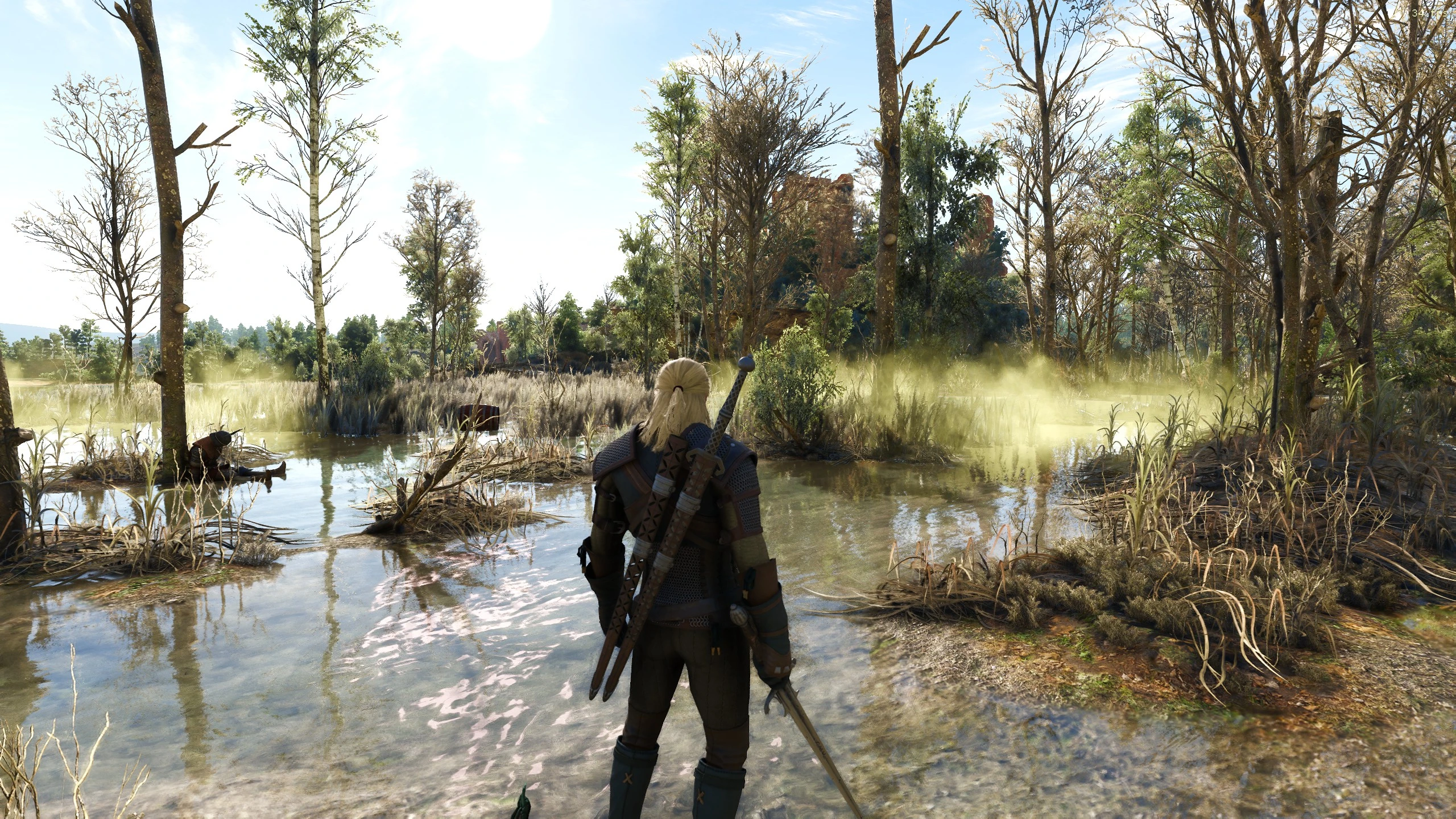 Morning Swamp at The Witcher 3 Nexus - Mods and community