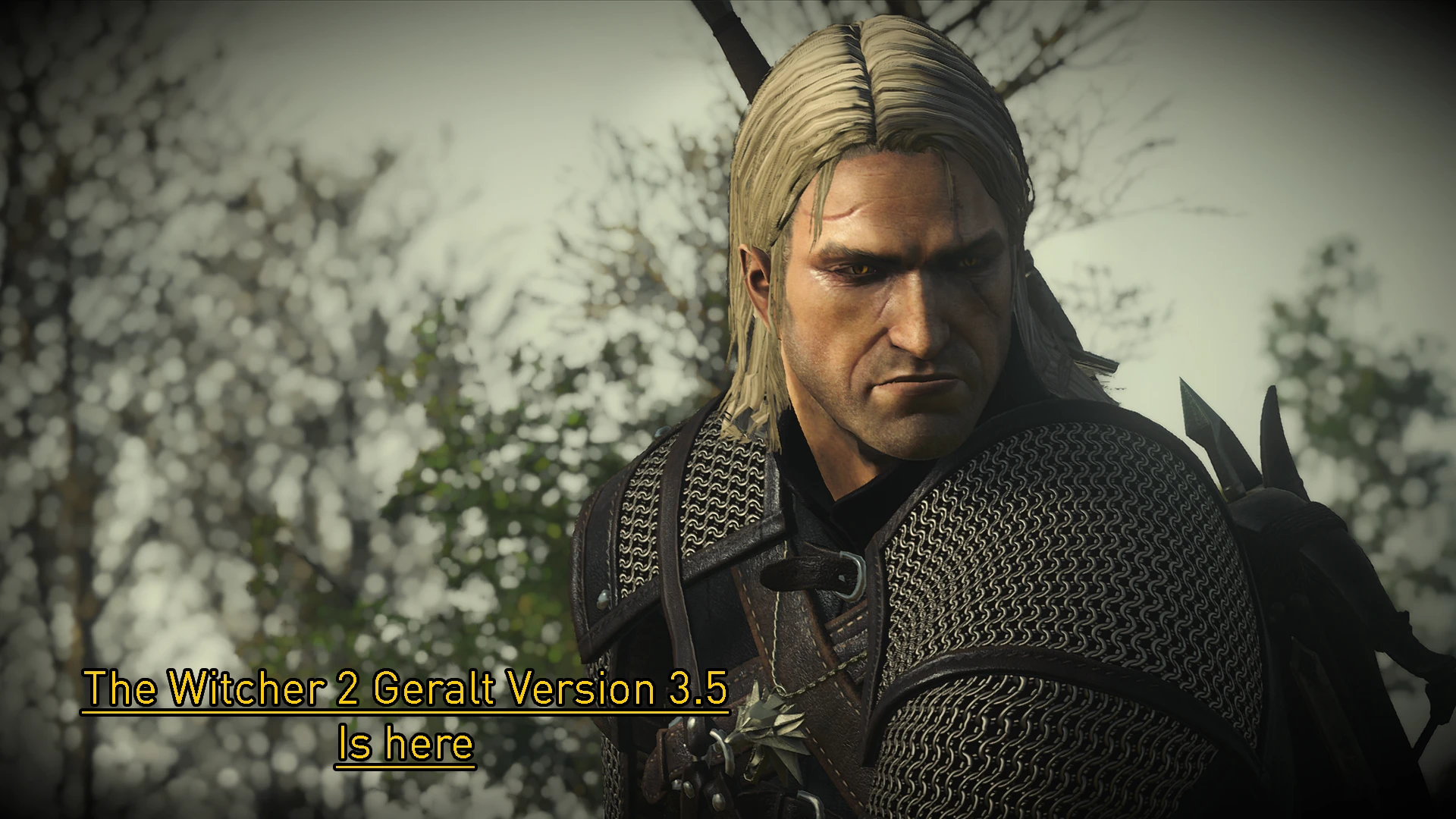 E3 mods the witcher 3 фото 111