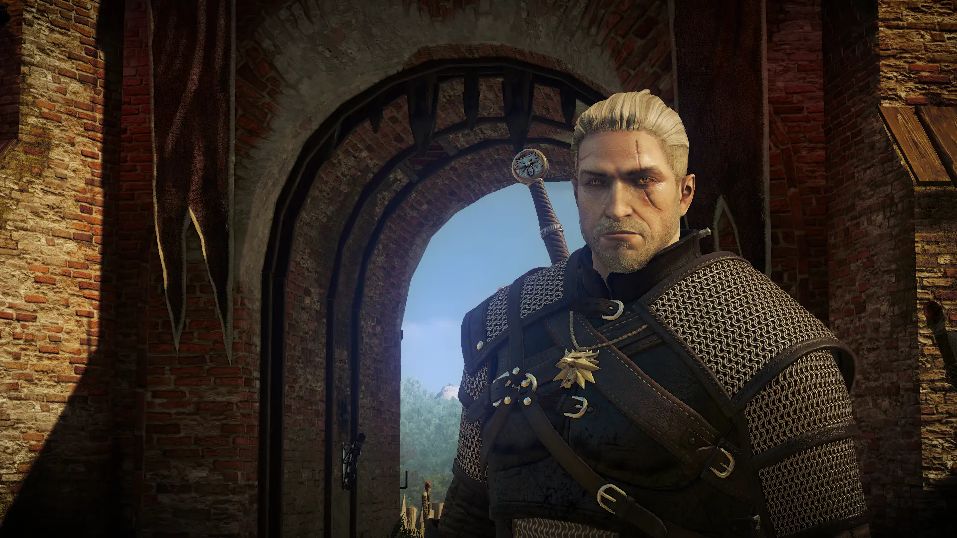 The witcher 2 мод the witcher 3 фото 5