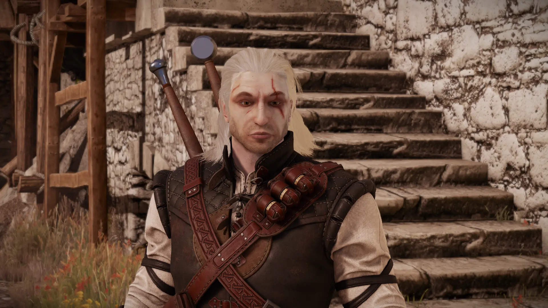 The Witcher Remake 