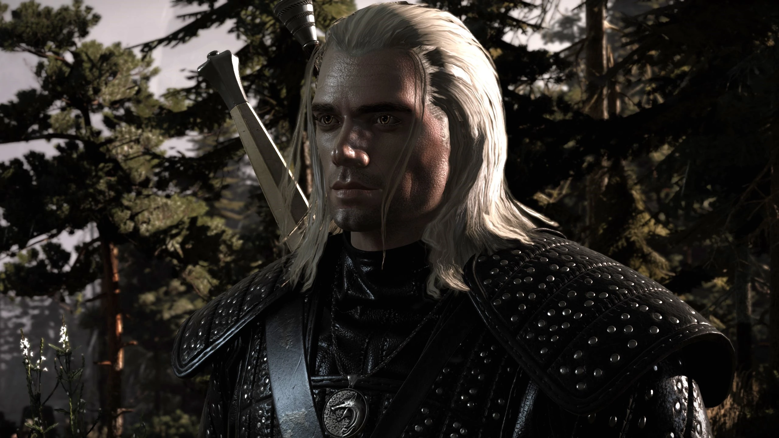 Best Henry Cavill face Mod by WitcherSeb at The Witcher 3 Nexus - Mods ...