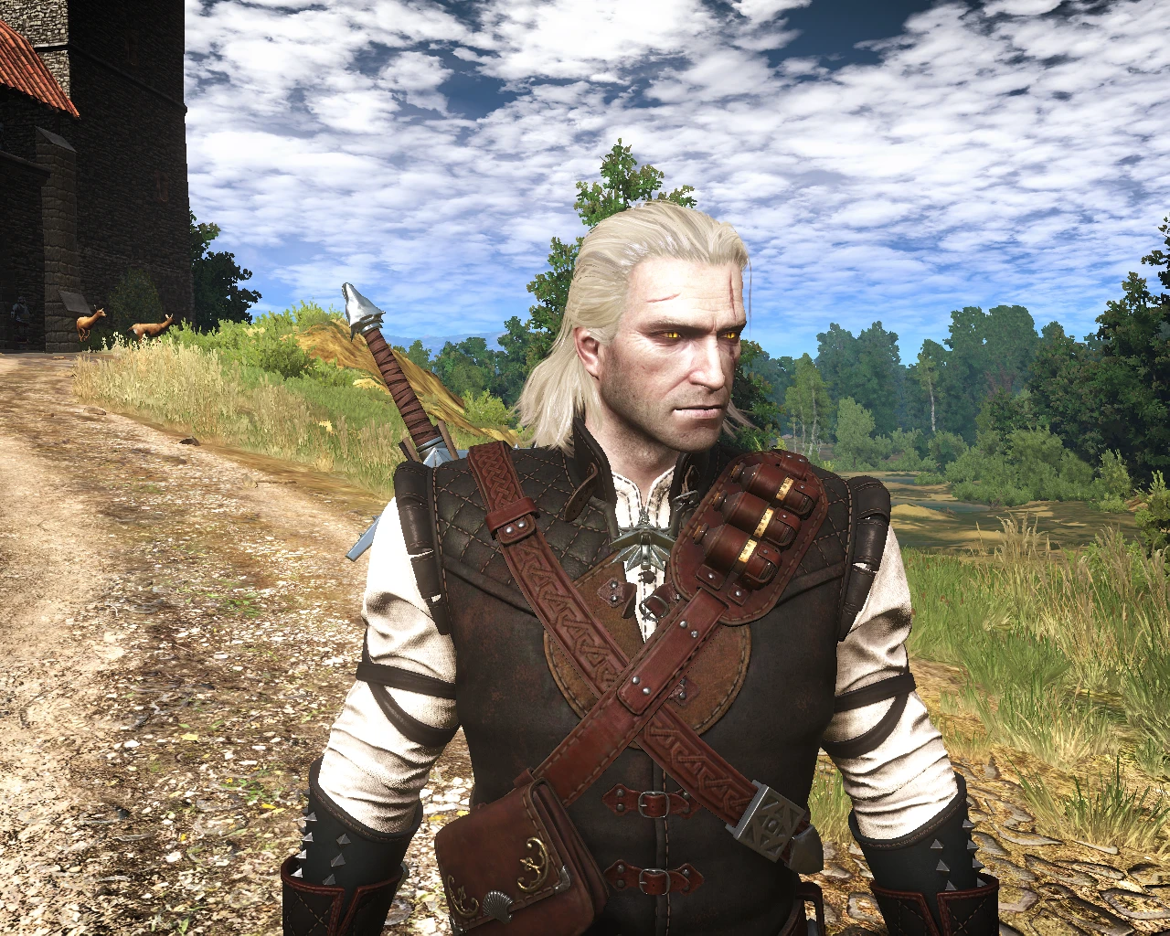 Witcher 1 Geralt.