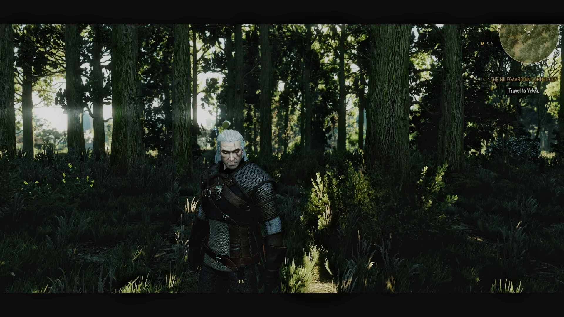 download the witcher remake