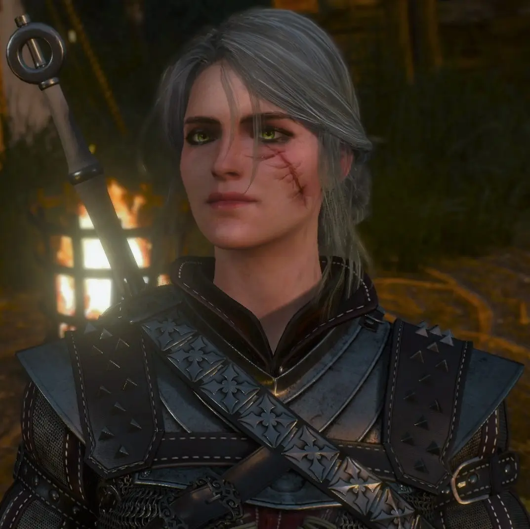 Ciri 2 at The Witcher 3 Nexus - Mods and community