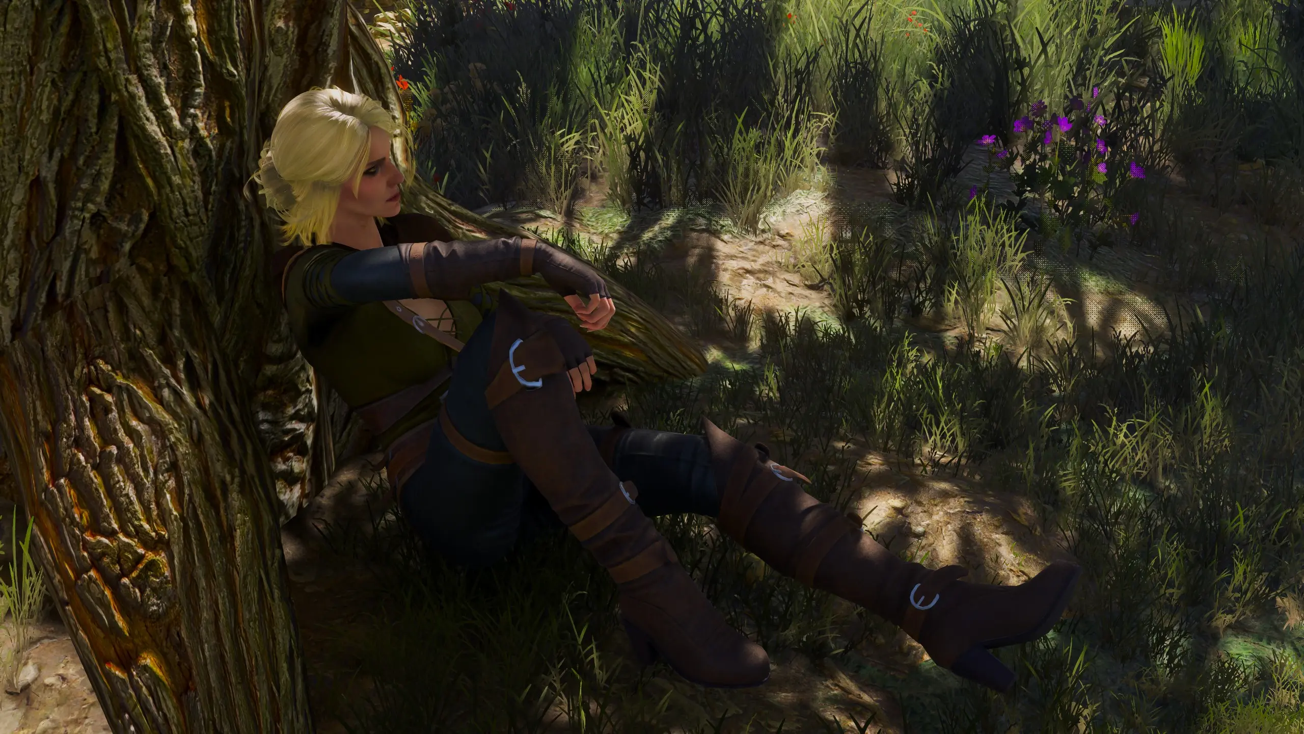 ciri at The Witcher 3 Nexus - Mods and community